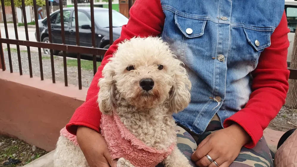 WhatsApp Image 2025-08-21 at 12.24.02