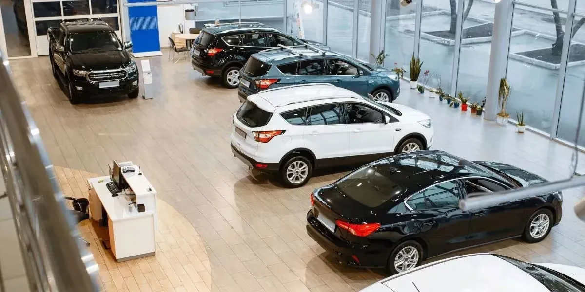 WhatsApp Image 2024-01-25 at 07.56.27