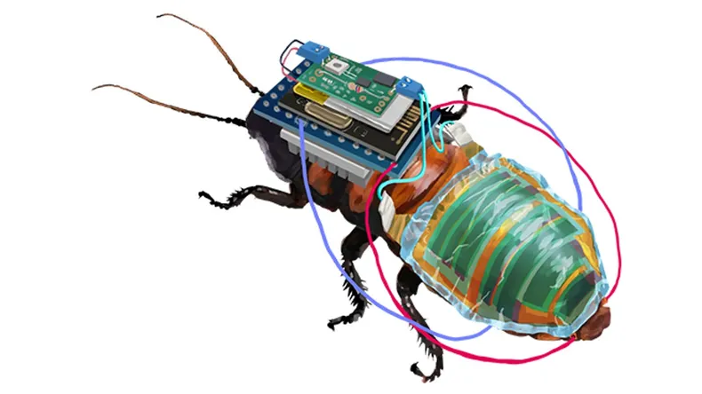cucaracha-ciborgjpg