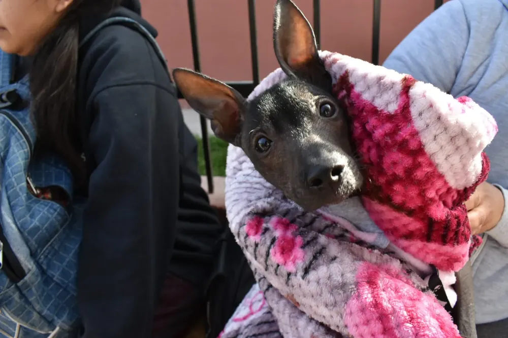 vacunacion-solidaridad-c-1536x1024