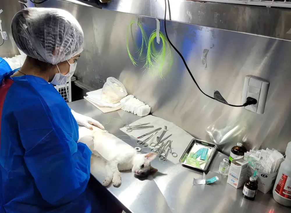 WhatsApp Image 2025-02-07 at 12.32.16