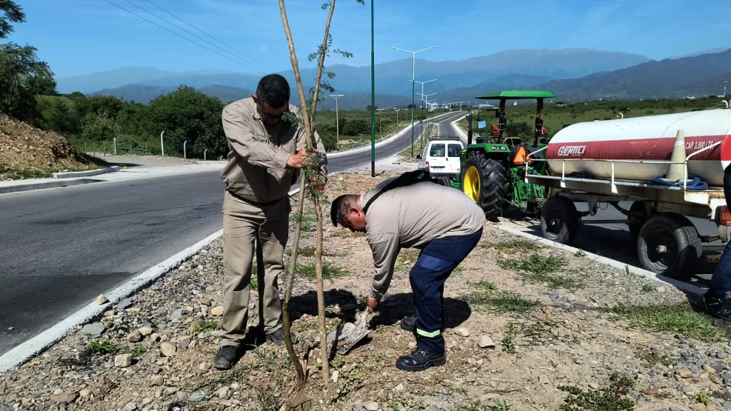plantacion-av-libertador-2-1024x576