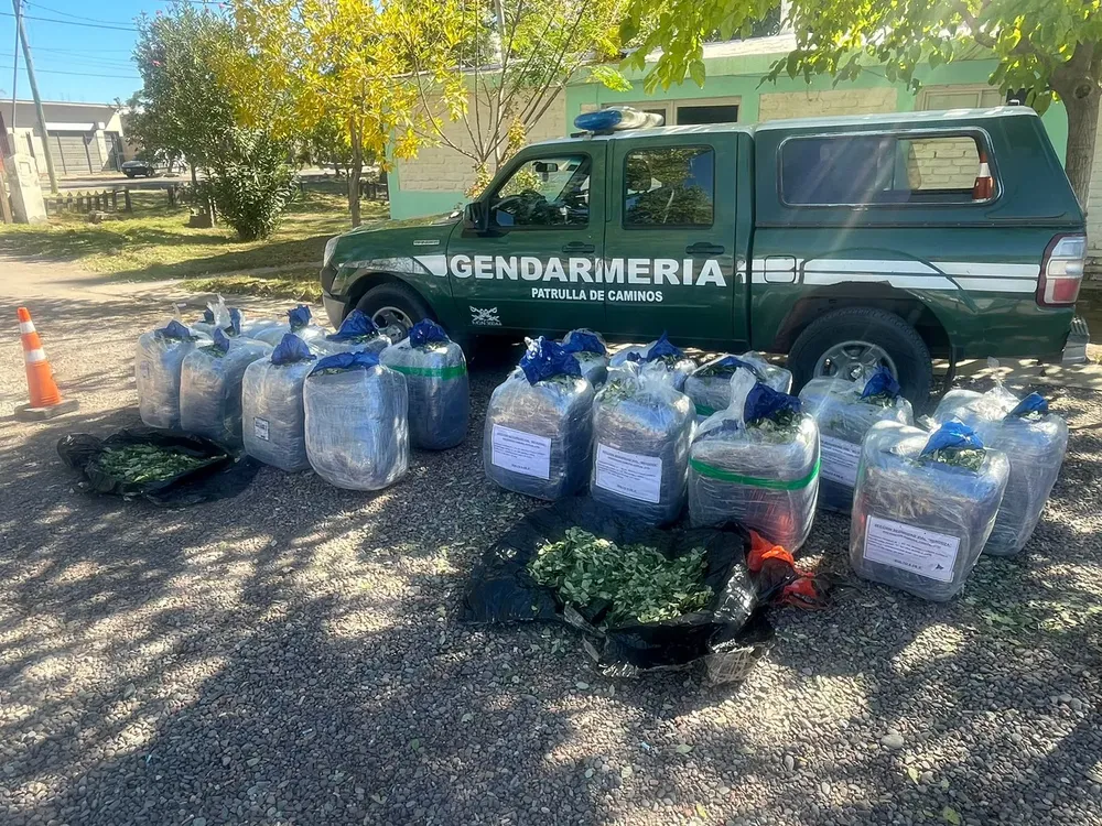 Mendoza 370 kilos de hojas de coca (5)