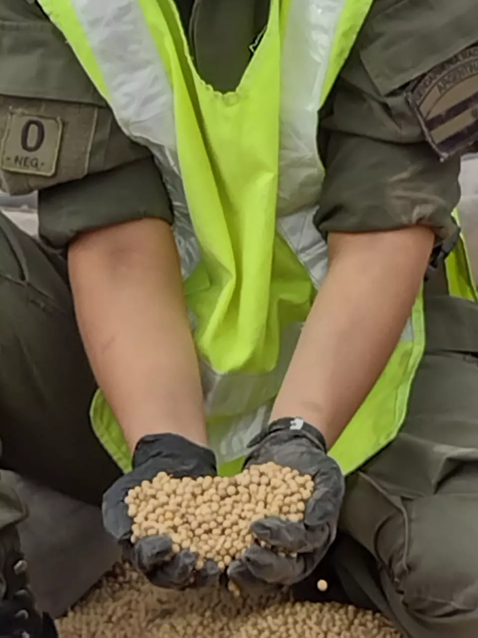 Decomisan 217 toneladas de granos y 97 toneladas de cereales que eran transportados en 10 camiones ilegalmente (4)