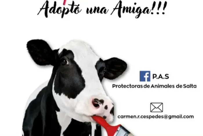 WhatsApp Image 2025-06-04 at 08.51.27