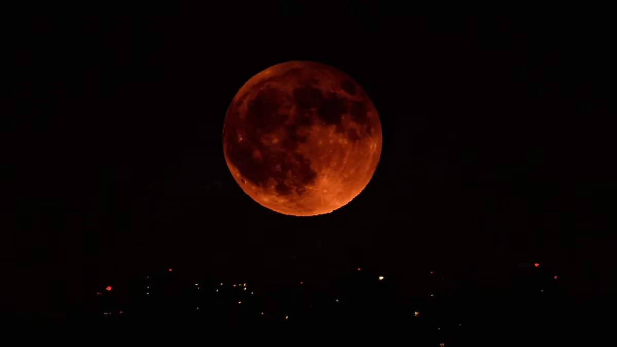 WhatsApp Image 2025-03-10 at 09.49.44