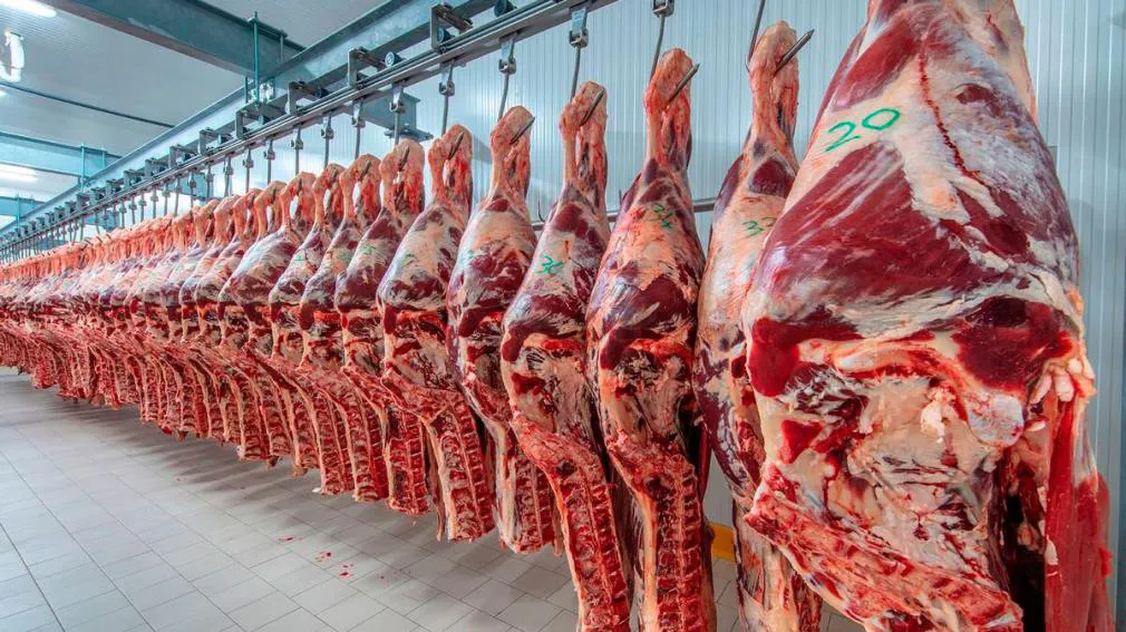 1010x567_carne-argentina-532641-084550