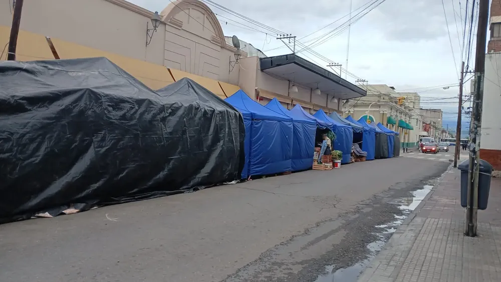 WhatsApp Image 2024-11-26 at 07.24.04