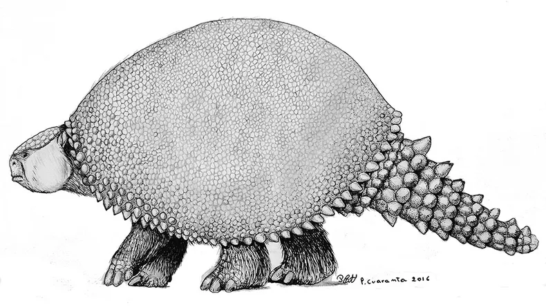 gliptodonte