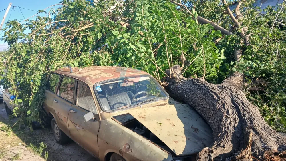 PORTADA PARA TODO SALTA