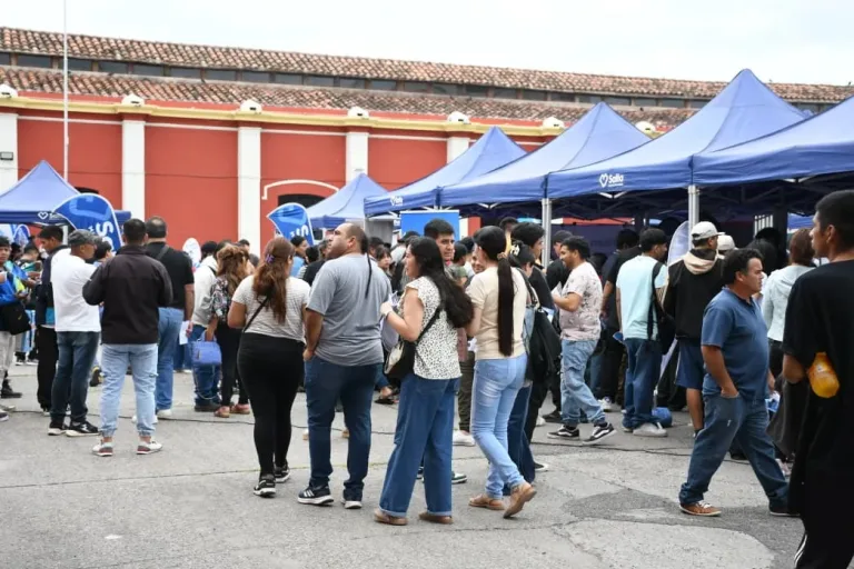 dinosaluzzi3-1-768x512