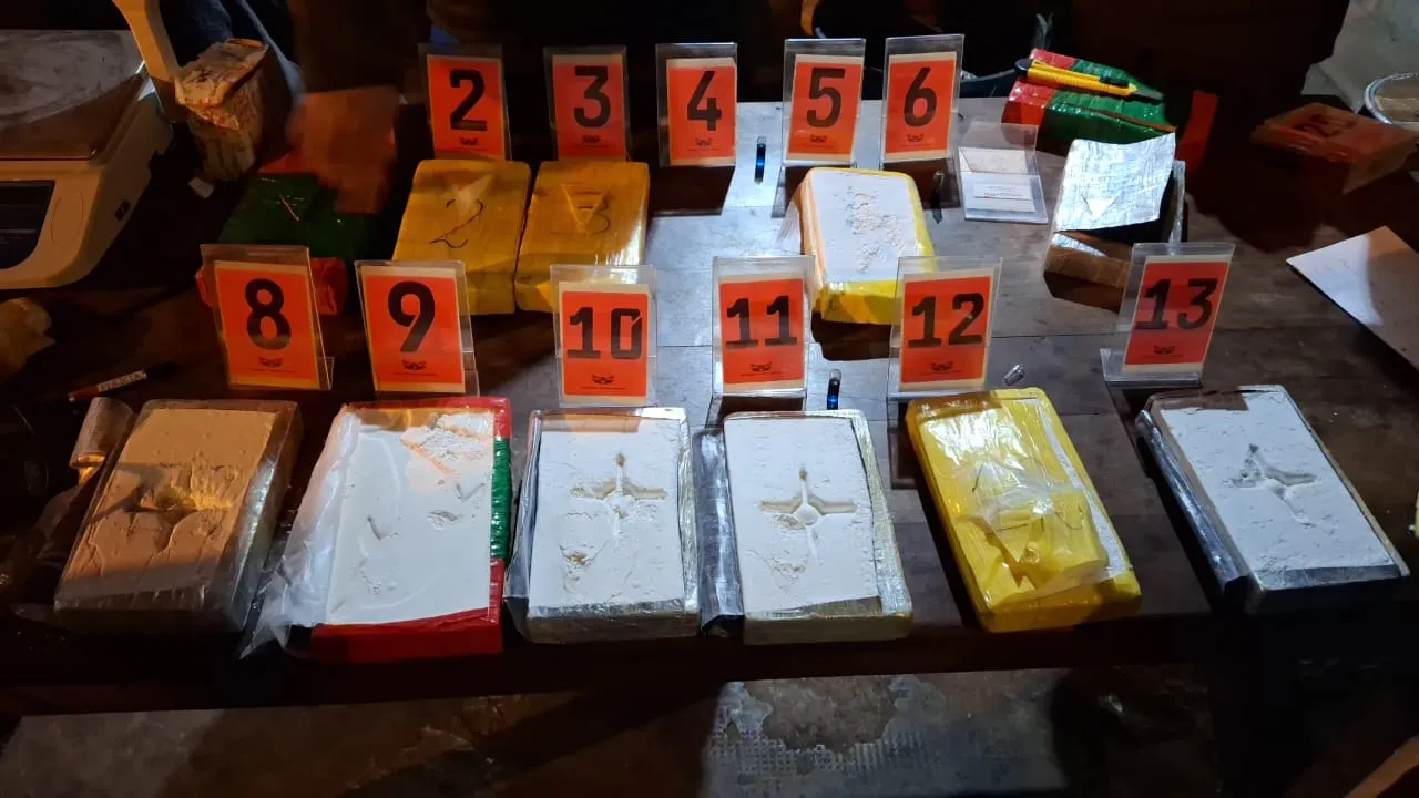La Rioja narcotrafico 29 kg cocaina 4