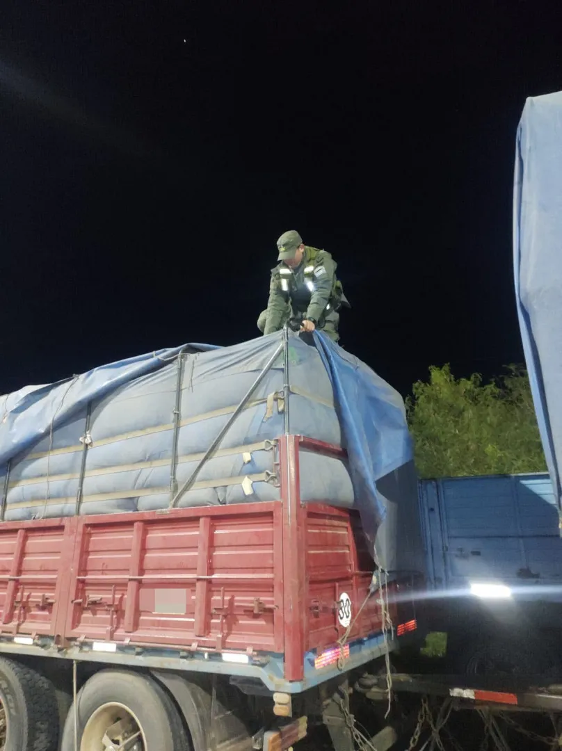 incautan_56.000_kilos_de_soja_y_9.000_litros_de_combustible_ilegales_4