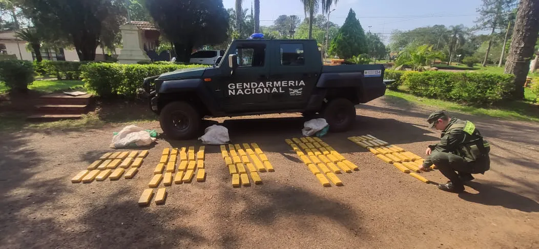 hallan_acopio_de_mas_de_79_kilos_de_marihuana_entre_la_vegetacion_2