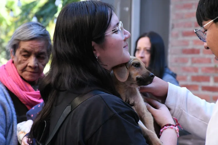 jornada-por-el-dia-del-perro-sin-raza-2-768x512
