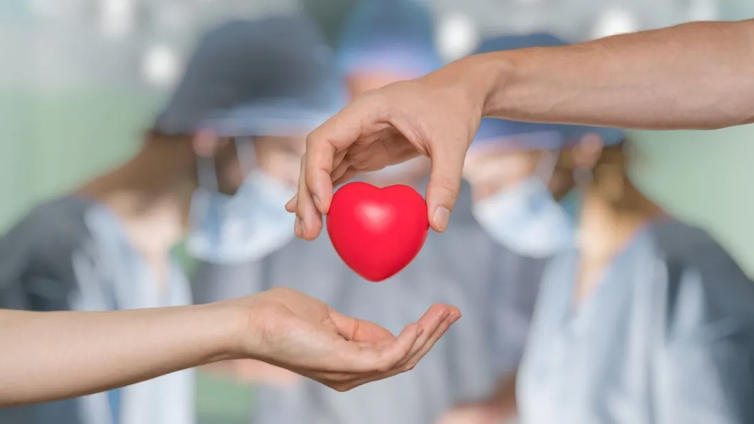 Donacion-de-organos-1100x619
