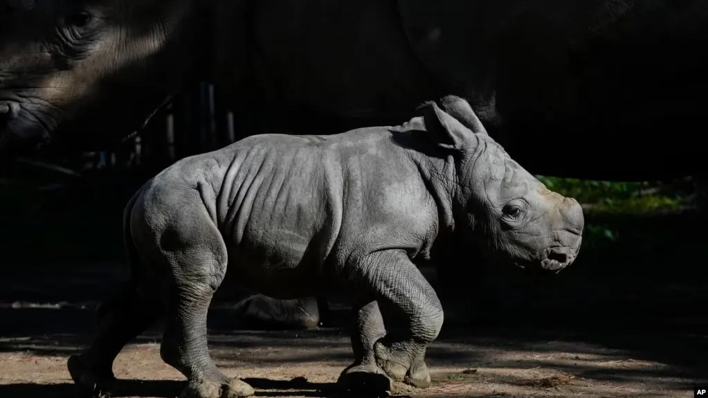 WhatsApp Image 2024-07-05 at 09.45.53