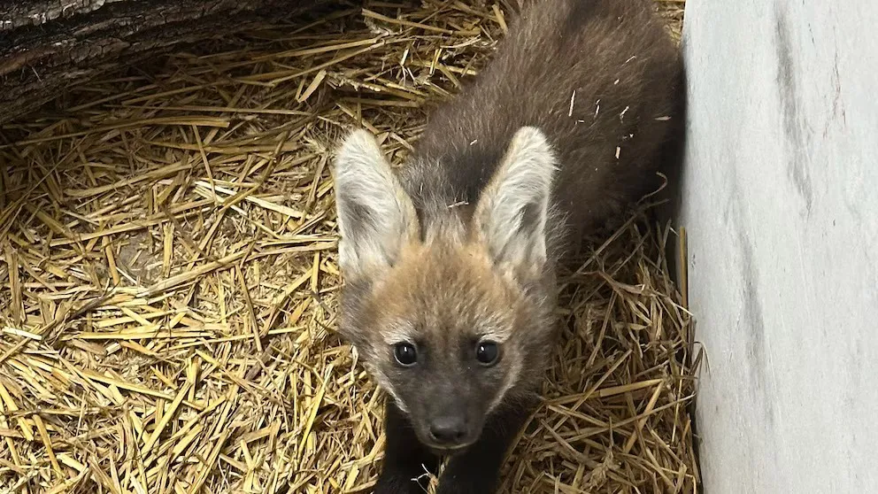 WhatsApp Image 2025-10-09 at 10.43.38