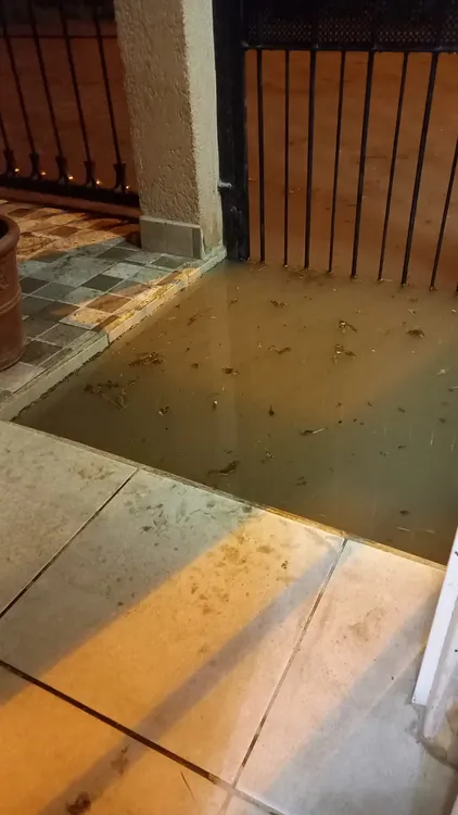 WhatsApp Image 2024-01-17 at 08.23.42