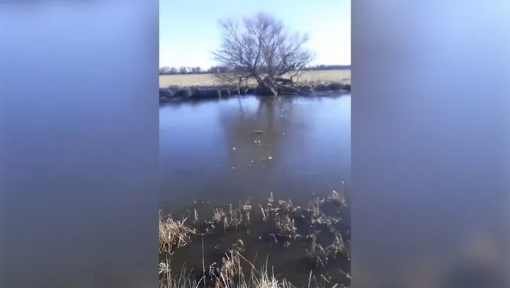 WhatsApp Image 2024-07-12 at 07.01.26