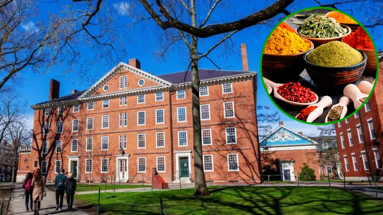 harvard