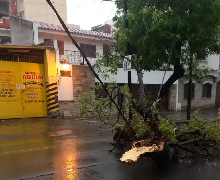 lluvias-4-e1760798350496-768x628