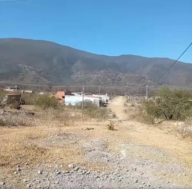 WhatsApp Image 2024-08-01 at 08.33.48