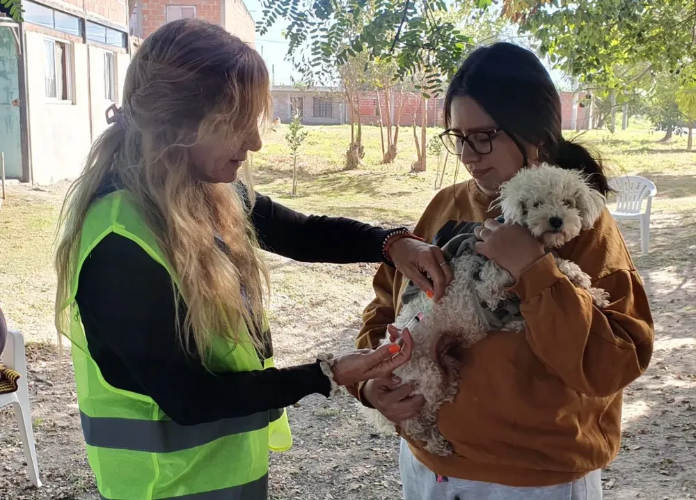 vacunacion-antirrabica-7-1536x1103