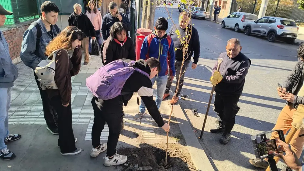 plantacion-arboles-hospital-san-bernardo-8-1536x864