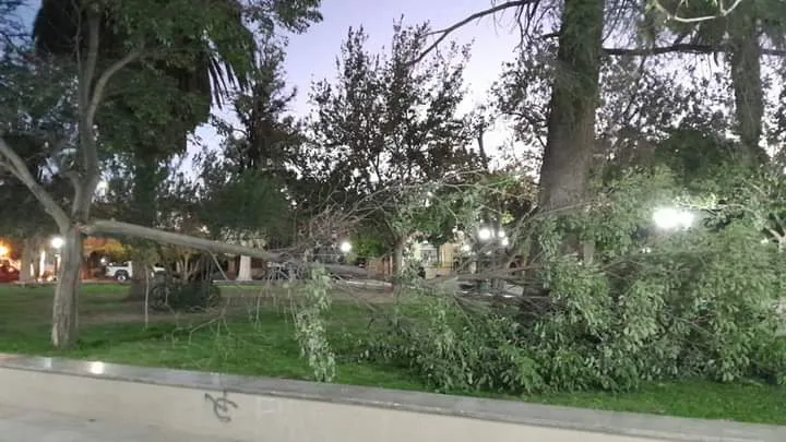 WhatsApp Image 2024-05-06 at 09.31.27 (1)