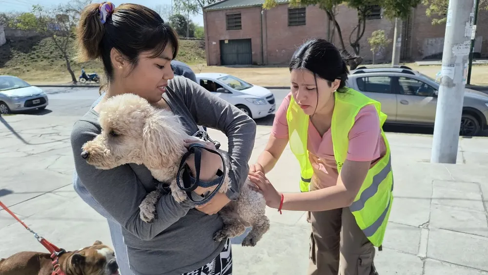 vacunacion-antirrabica-plaza-espana-1-1536x864