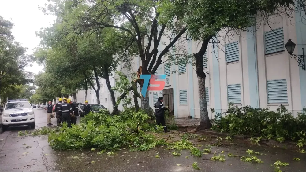 WhatsApp Image 2025-01-03 at 08.43.19