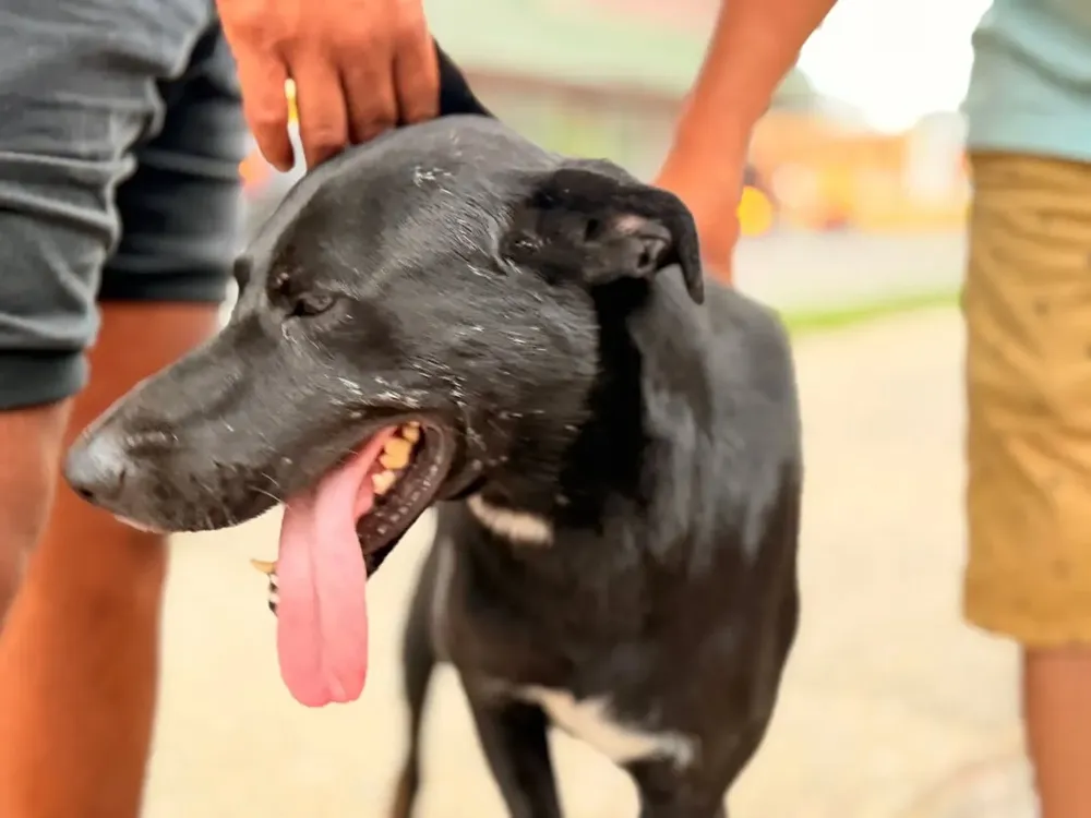 multimedia.grande.8680406c88e4106a.Z3JhbmRlLndlYnA=