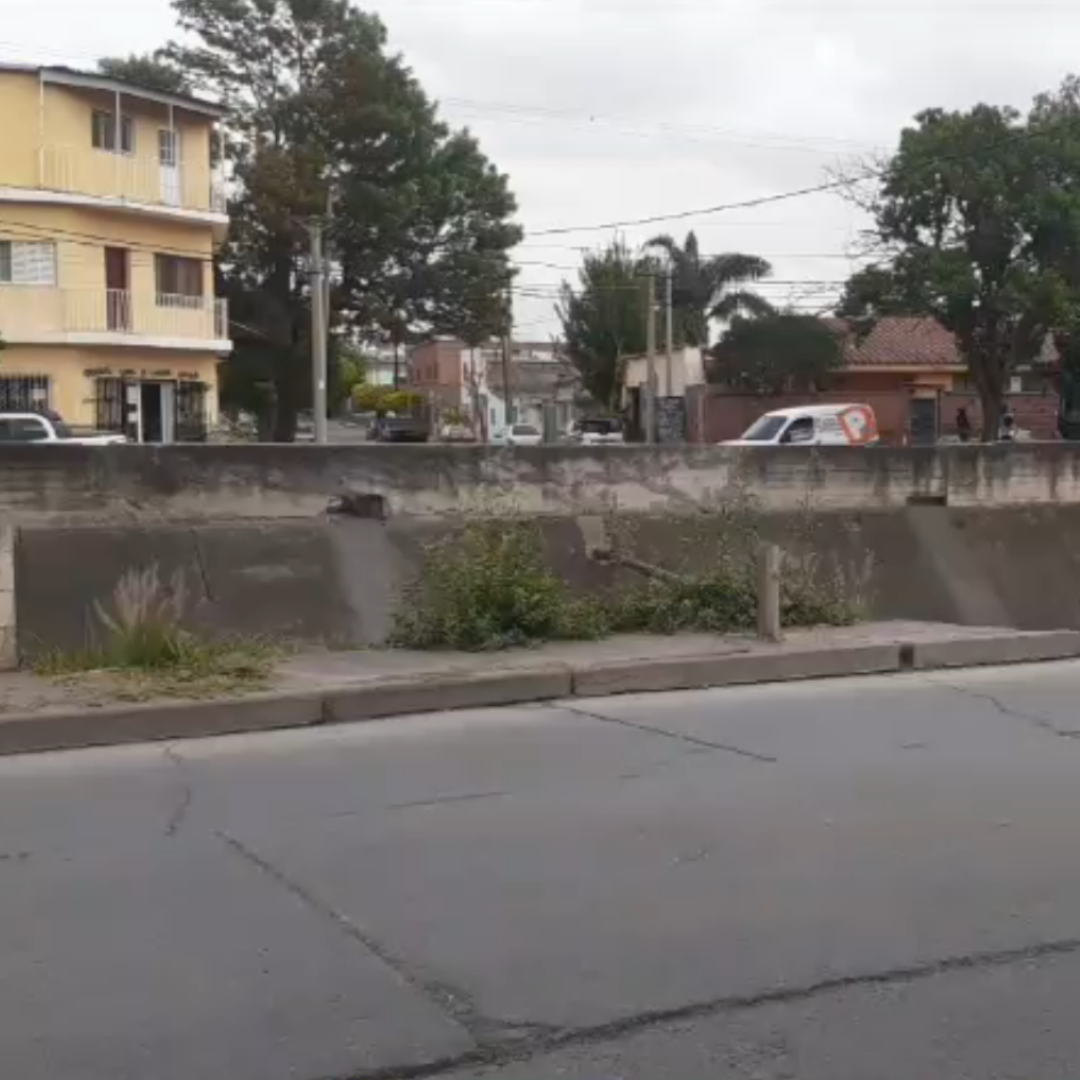 Diseño sin título