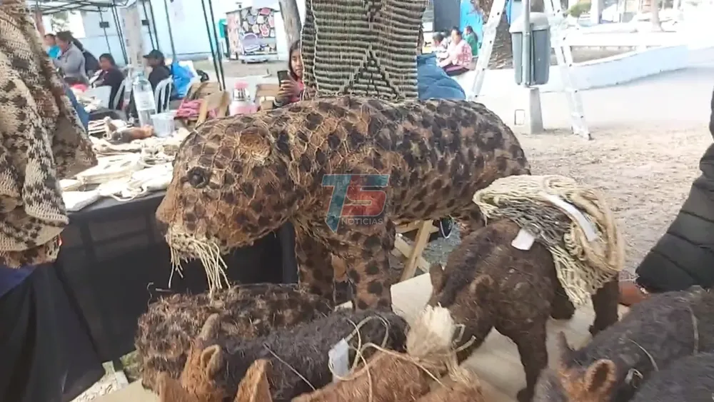 PORTADA PARA TODO SALTA (2)