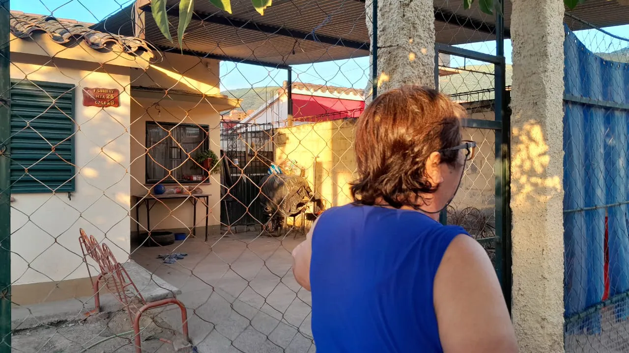 WhatsApp Image 2025-02-04 at 21.31.03