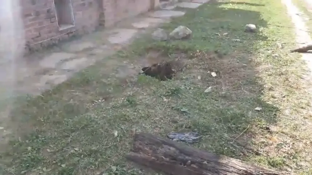 PORTADA PARA TODO SALTA (8)