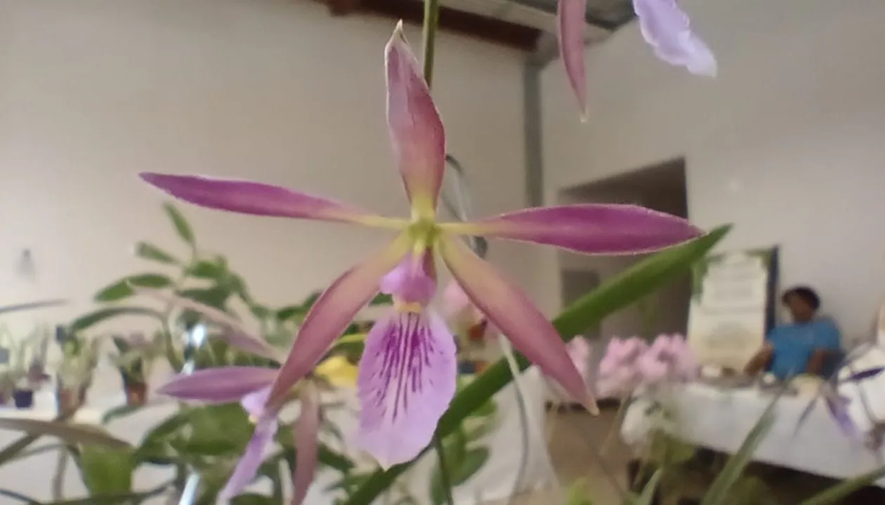 WhatsApp Image 2024-11-10 at 13.26.28