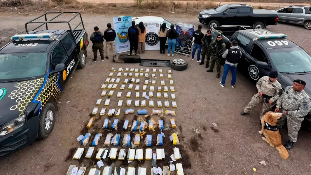 109112-la-policia-de-salta-desarticulo-una-organizacion-narcocriminal-y-secuestro-mas-de-190-kilos-de-cocaina