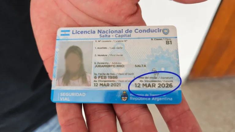 renovacion-de-liciencia-768x432