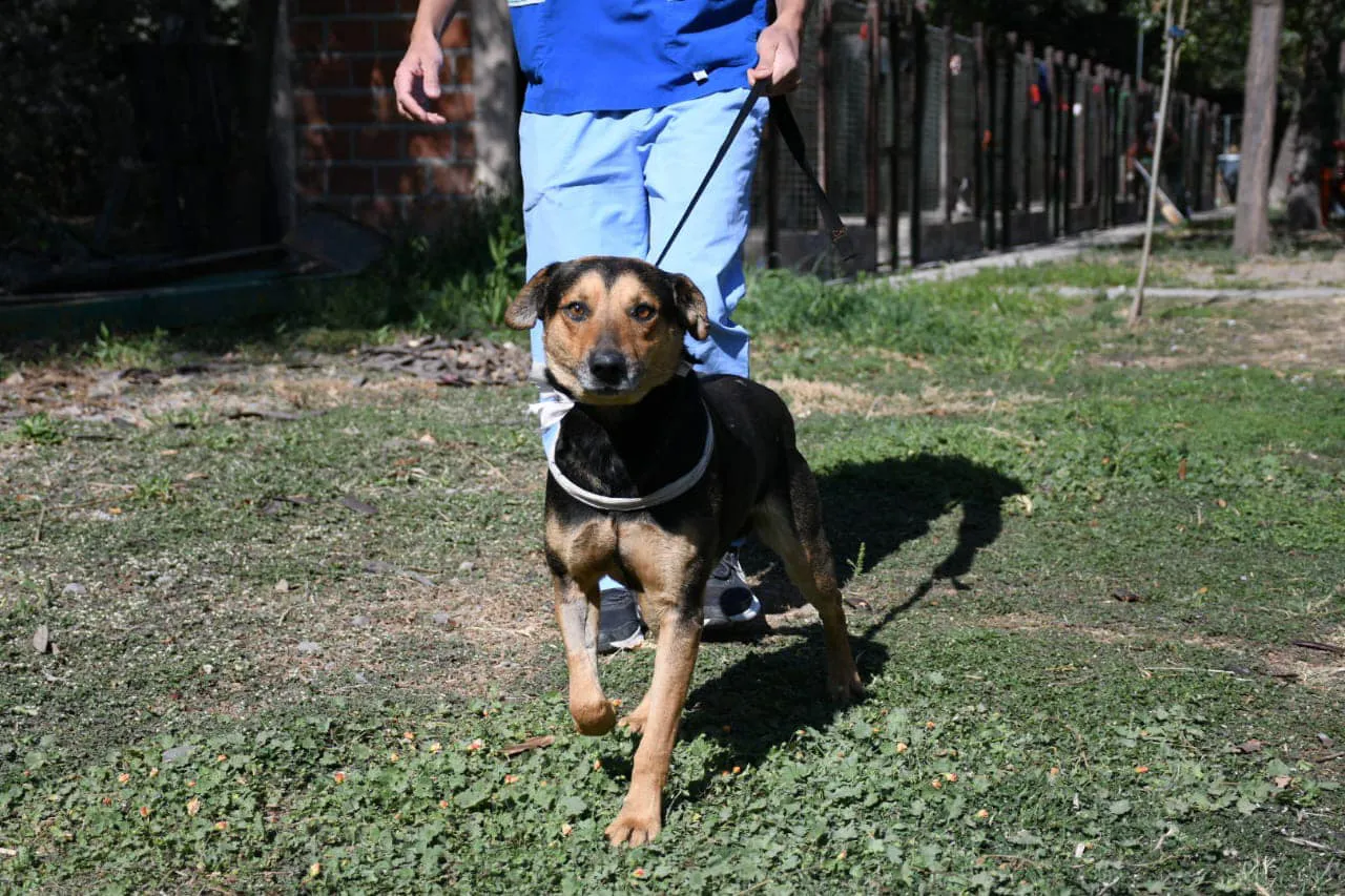 485202984_1089572023201375_2675638935362678332_n