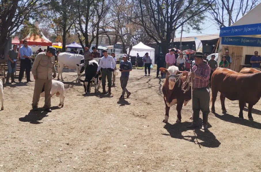 8455-hasta-el-domingo-se-vive-en-salta-la-79-expo-rural-20230818112938