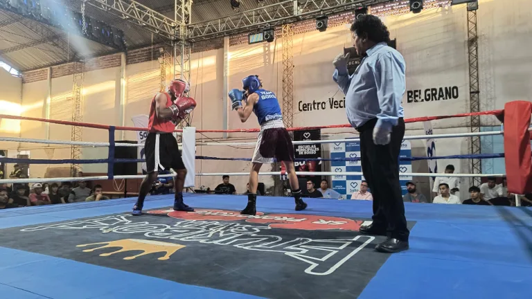 boxeo-2-768x432