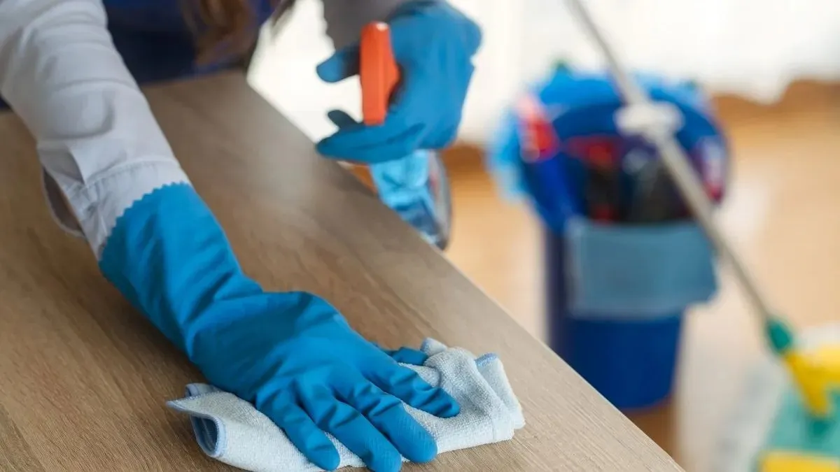 WhatsApp Image 2024-01-30 at 07.31.06