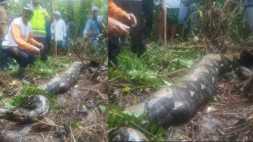 PORTADA PARA TODO SALTA