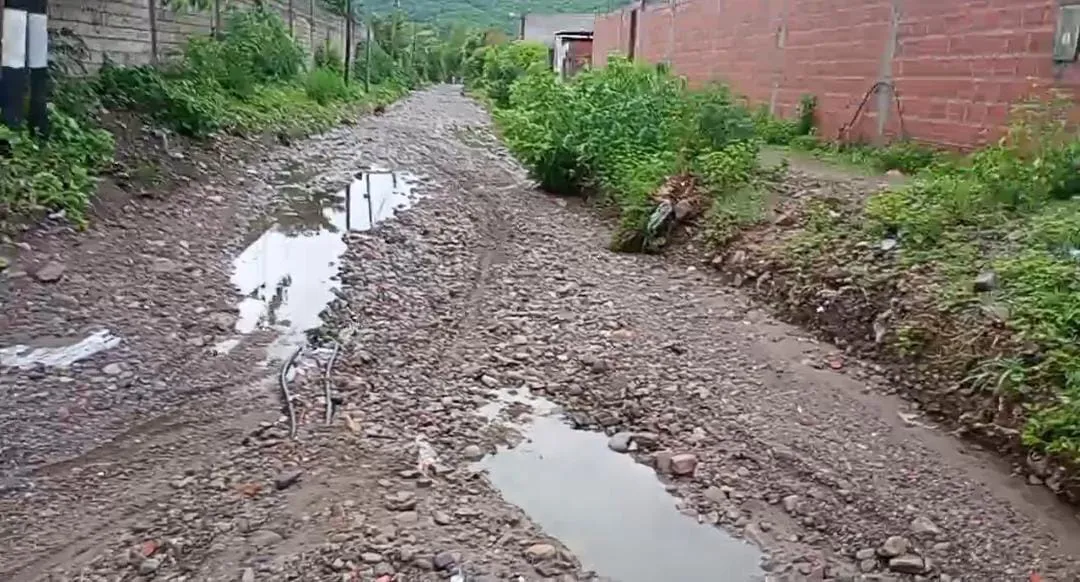 WhatsApp Image 2024-11-05 at 10.12.42