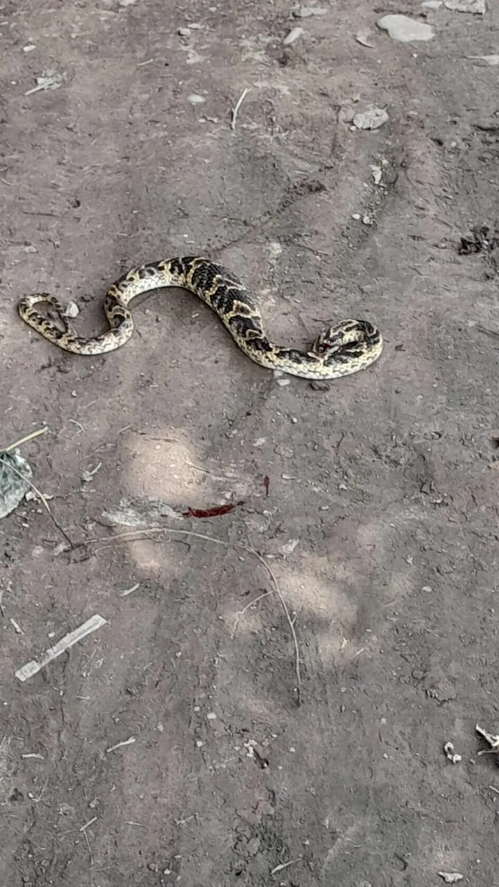 WhatsApp Image 2025-01-17 at 20.09.56 (3)