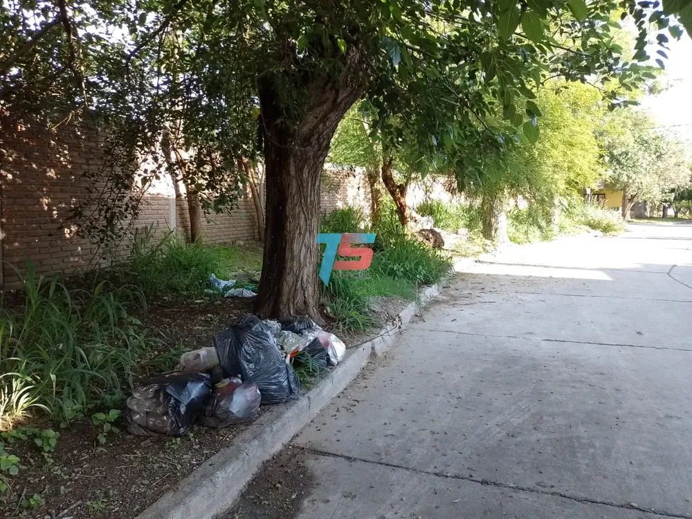 WhatsApp Image 2024-11-11 at 08.02.00