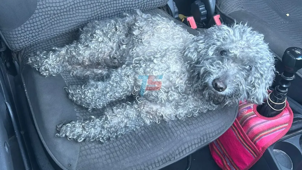 PORTADA PARA TODO SALTA (8)