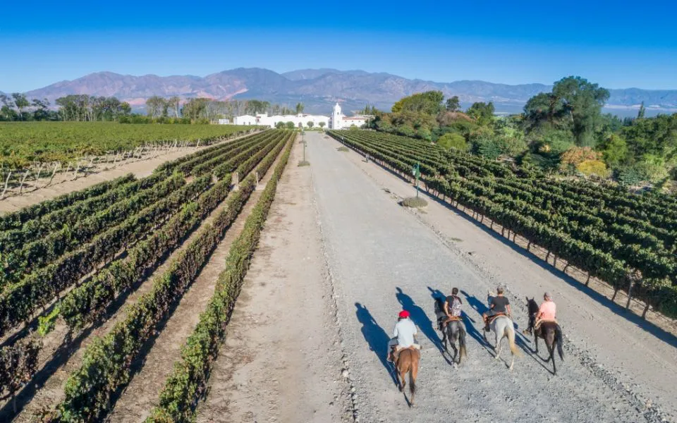 5359-dia-del-vino-salta-ofrece-experiencias-unicas-y-se-consolida-como-destino-enoturistico-de-referencia